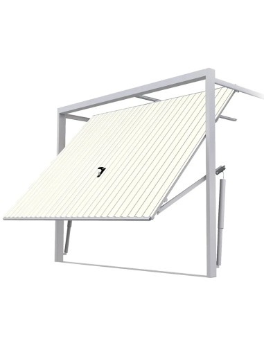 Stahl Garagentor Schwingtor - 200 x 200 cm - RAL 9010