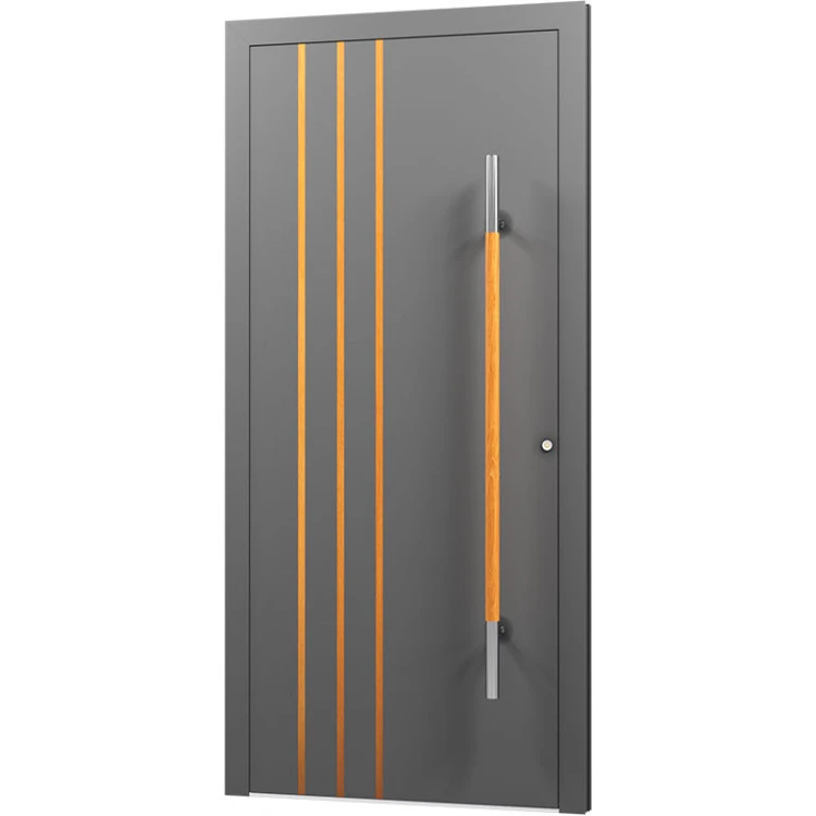 Aluminium Eingangstür - AN09