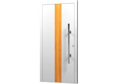 Aluminium Eingangstür - AN12