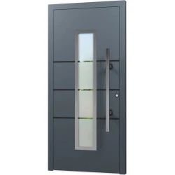 Aluminium Eingangstür - AN20