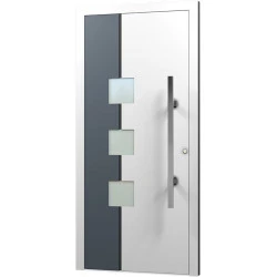 Aluminium Eingangstür - AN34