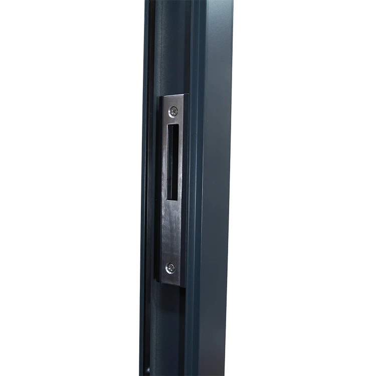 Aluminium Tür 1020 x 2080 mm Aluprof MB45