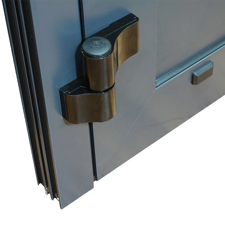 Aluminium Tür 1020 x 2080 mm Aluprof MB45