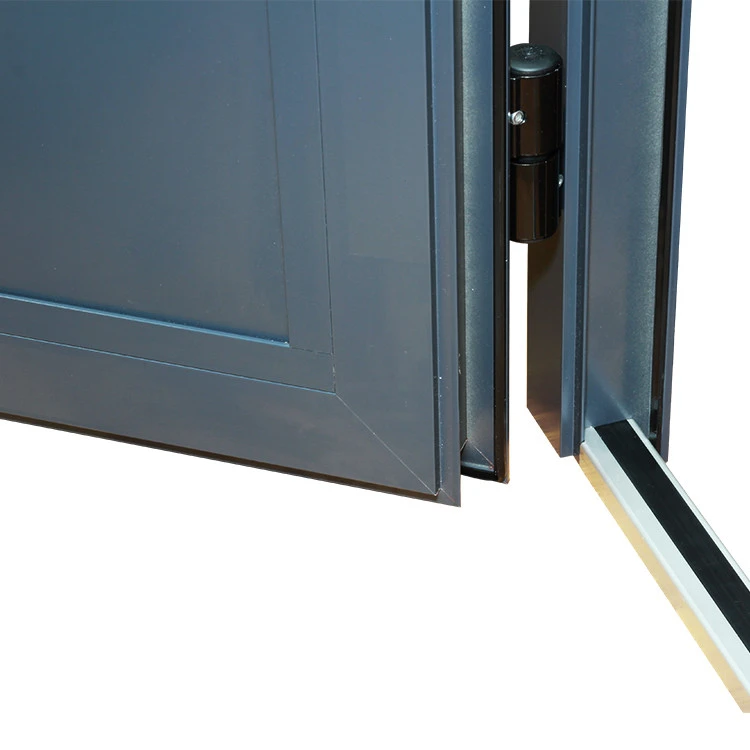 Aluminium Tür 1020 x 2080 mm Aluprof MB45