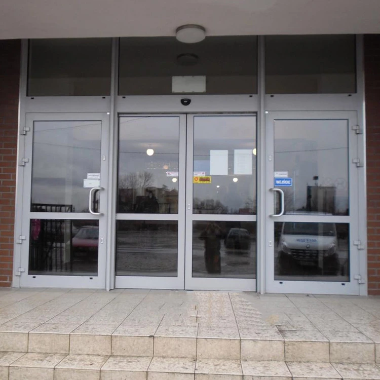 Aluminium Tür 1800 x 2100 mm Aluprof MB-59S