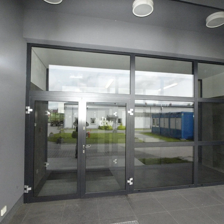 Aluminium Tür 900 x 2100 mm MB70 Aluprof